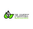 FLAVEX at Natexpo in Paris