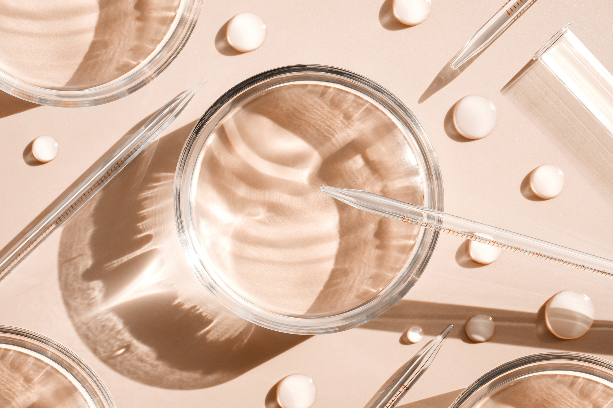 Christine Raitt Joins Independent Beauty Association Board